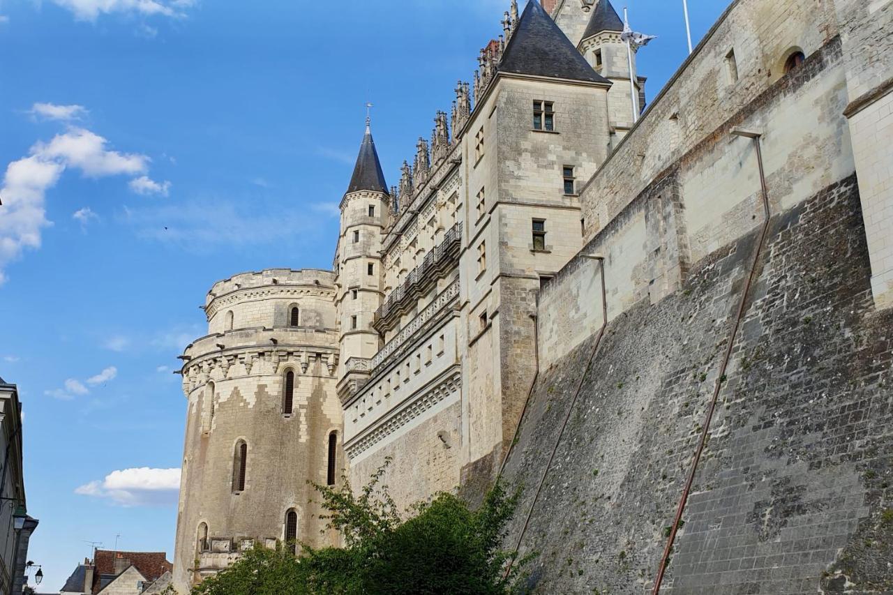 Splendid Apartment At The Foot Of The Castle Of Amboise - View Of The Loir Bagian luar foto