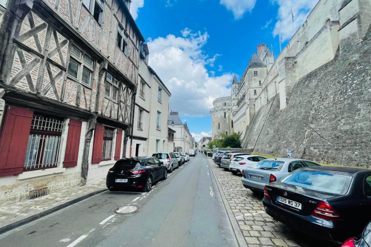 Splendid Apartment At The Foot Of The Castle Of Amboise - View Of The Loir Bagian luar foto