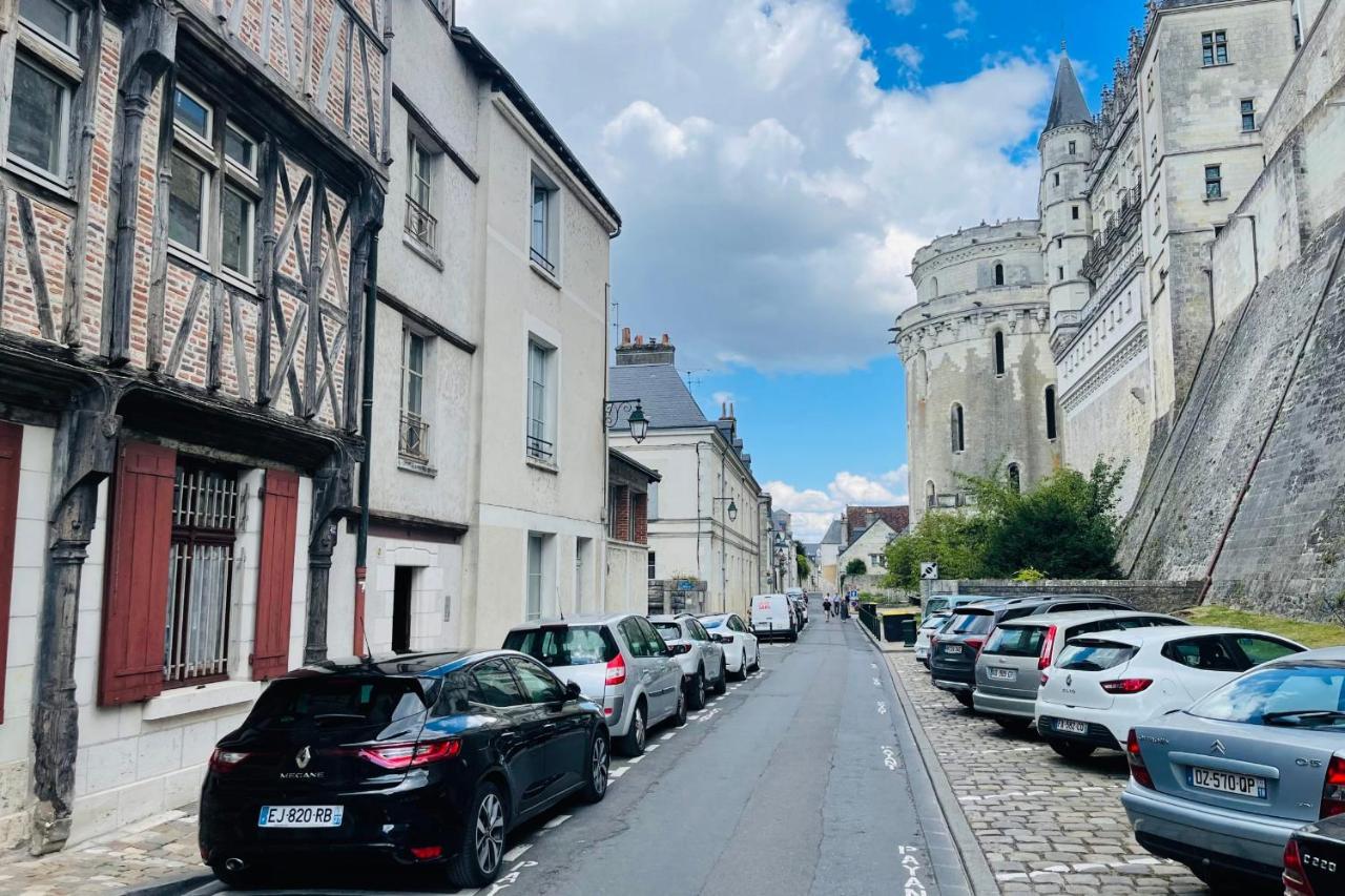 Splendid Apartment At The Foot Of The Castle Of Amboise - View Of The Loir Bagian luar foto